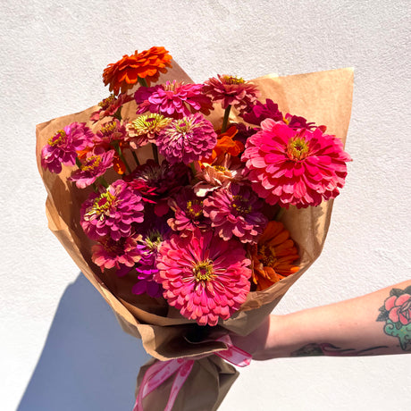 Assorted Zinnia Bundle
