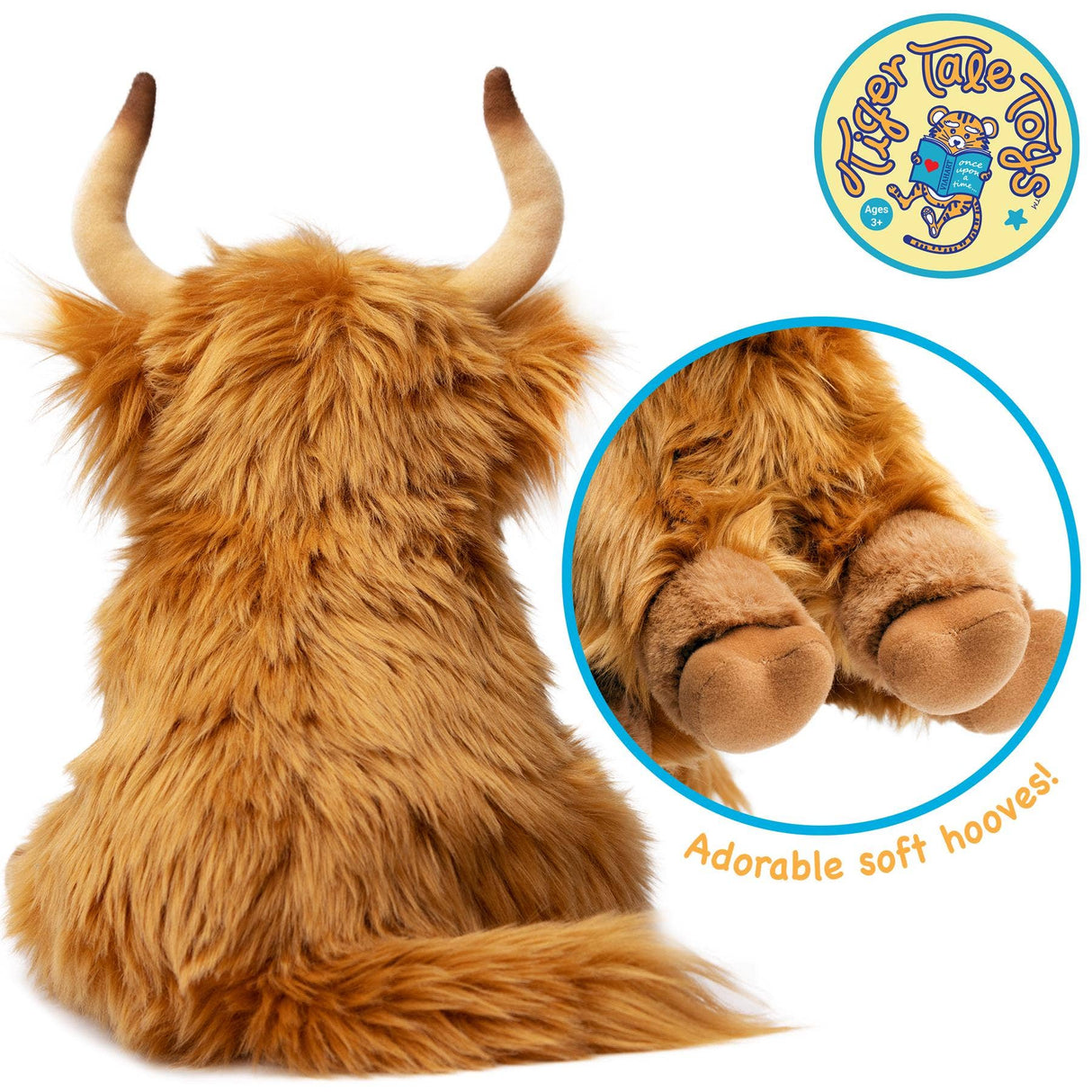 Highland Cow