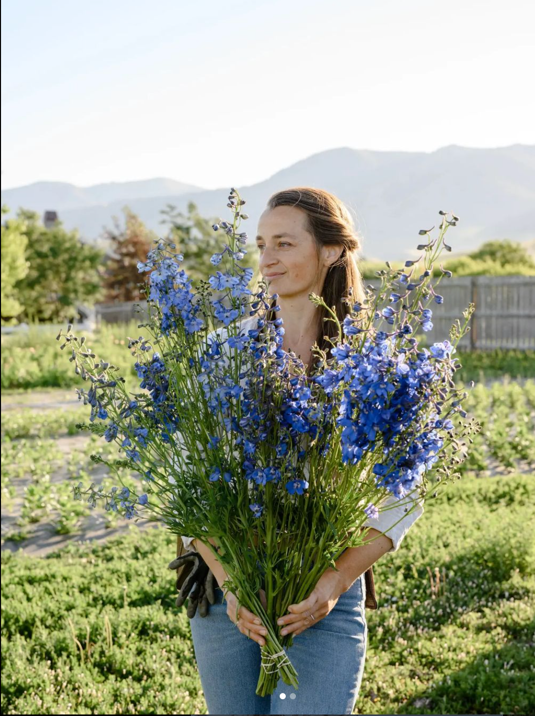 DC: Farm Fresh Bundle