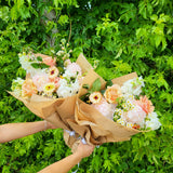 DC: Farm Fresh Bundle