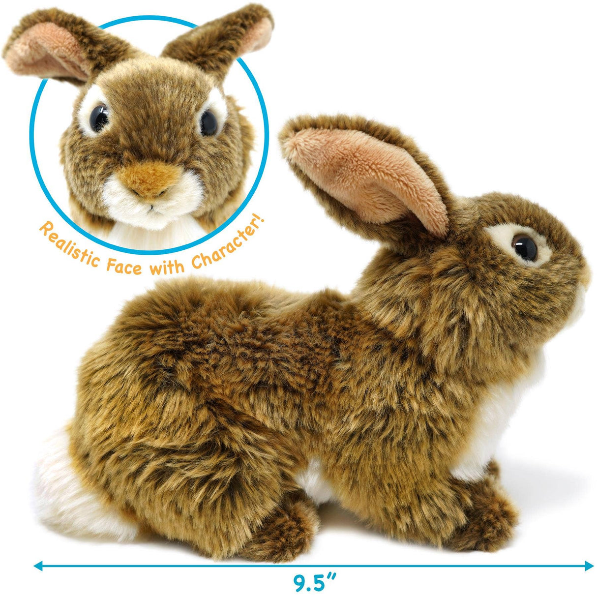 Brown Rabbit