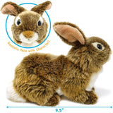 Brown Rabbit